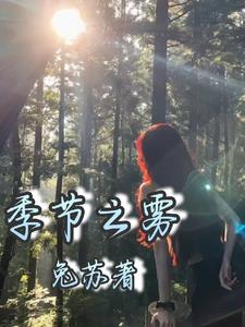 独臂刀客电视连续剧