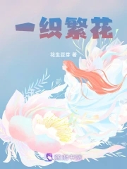 一个嘉年华是多少人民币